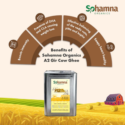 A2 Gir Cow Ghee tin by Sohamna Organics displayed in a stylized farm scene with a cream background and infographic callouts about its benefits, including DHA and CLA support, immune boost, and balanced vata and kapha.