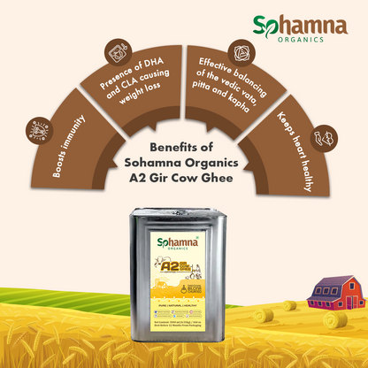 A2 Gir Cow Ghee 5LTR | Clarified Butter
