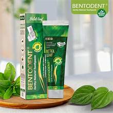 Bentodent Betel Leaf Natural Toothpaste in a green tube and matching box, displayed on a wooden coaster with fresh green leaves on a white surface.