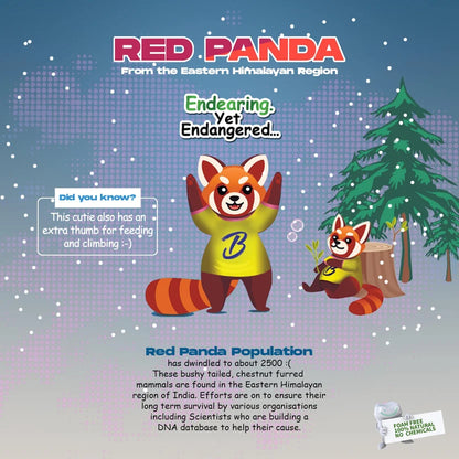 An educational poster titled 'RED PANDA From the Eastern Himalayan Region' featuring cartoon red pandas in a snowy forest setting. The poster includes text about the endangered red panda population, a 'Did you know?' fact box, and a 'Free Bio Books and Chemicals' logo in the bottom right corner.