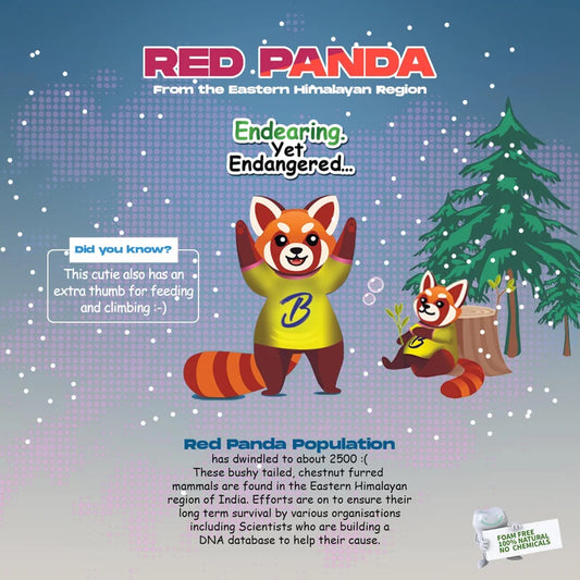 An educational poster titled 'RED PANDA From the Eastern Himalayan Region' featuring cartoon red pandas in a snowy forest setting. The poster includes text about the endangered red panda population, a 'Did you know?' fact box, and a 'Free Bio Books and Chemicals' logo in the bottom right corner.