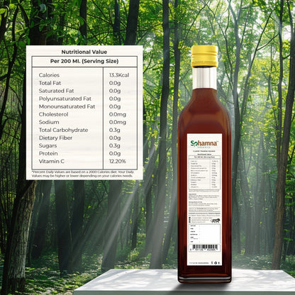 Natural Thandai Squash 500ml
